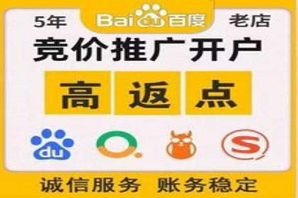 SEM竞价代运营公司案例深度解析